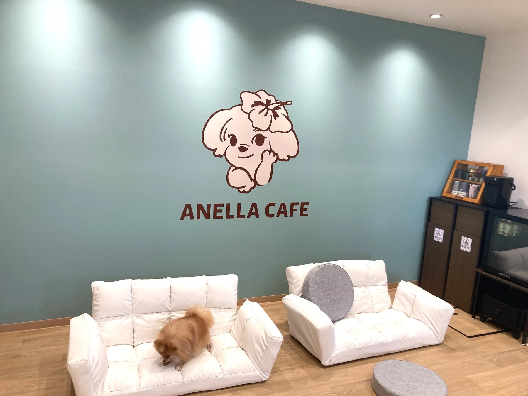 ANELLA CAFEの犬エリア