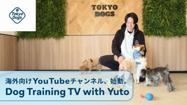 【驚異のスピード！】東京DOGSの海外向けYouTubeチャンネル「Dog Training TV with Yuto」が51日で登録者3万人突破！世界中の愛犬家が夢中に！
