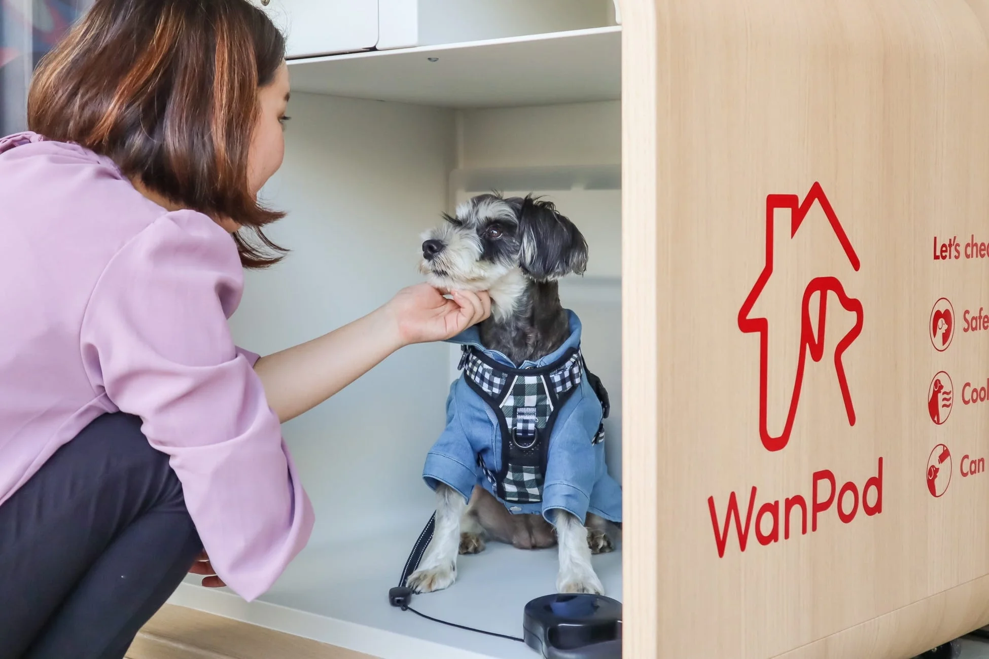 WanPodと触れ合う女性
