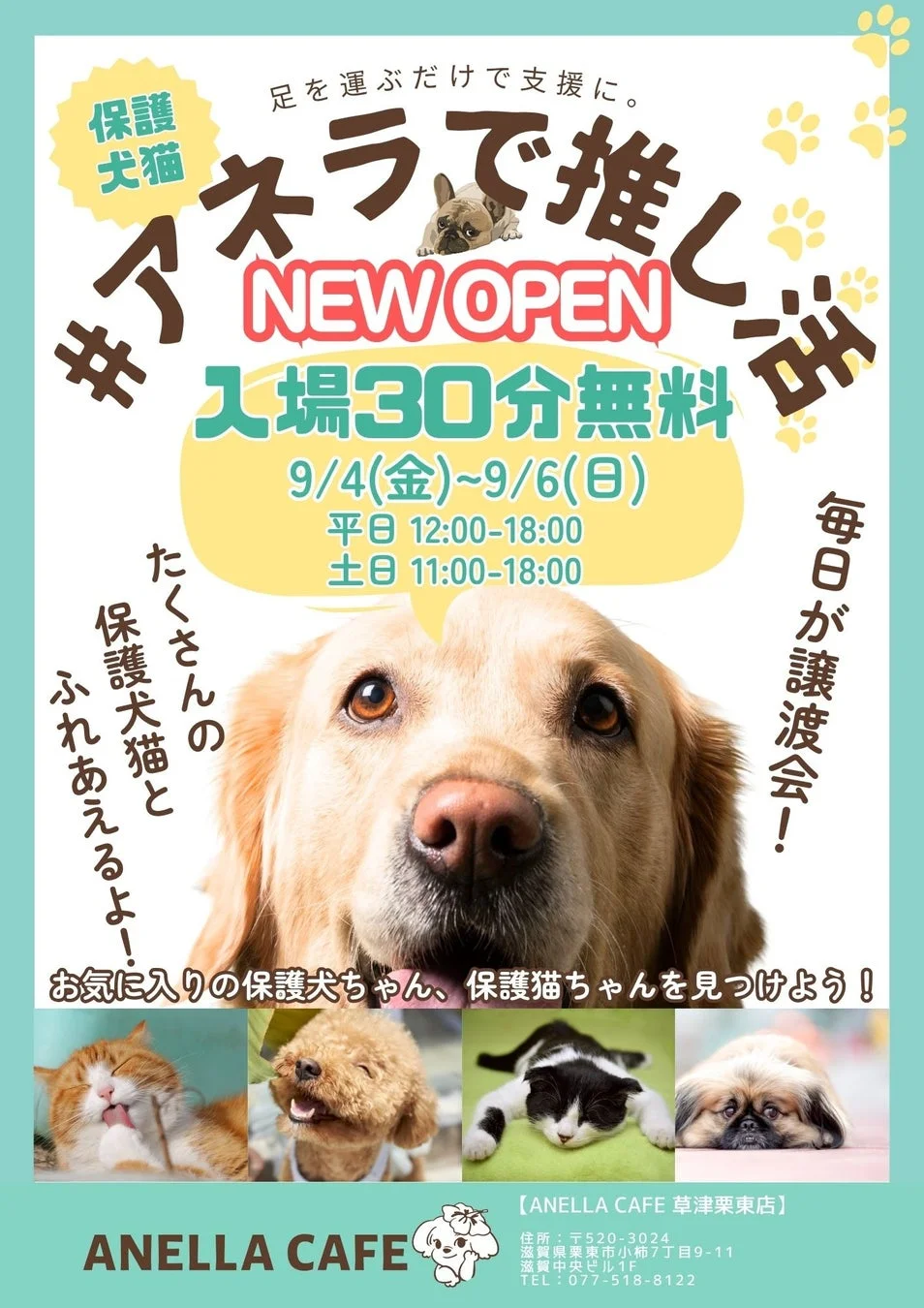 オープンキャンペーン告知ポスター