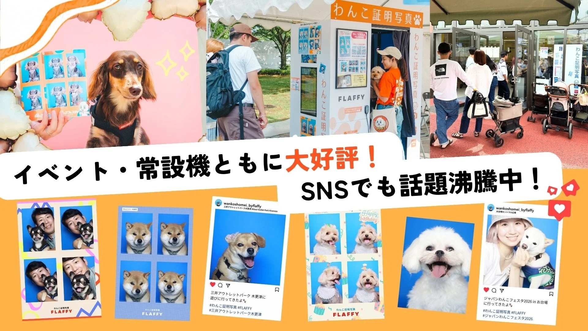 SNSでも話題沸騰中のわんこ証明写真
