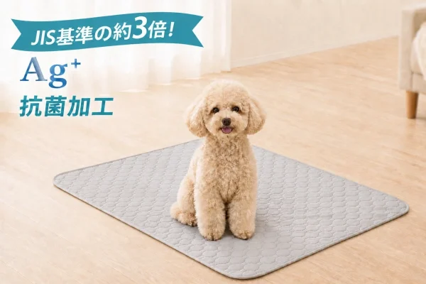 「洗い替えに追加で買いました」の声も！洗って繰り返し使える抗菌防臭ペットシーツが楽天スーパーSALEでお得に登場！