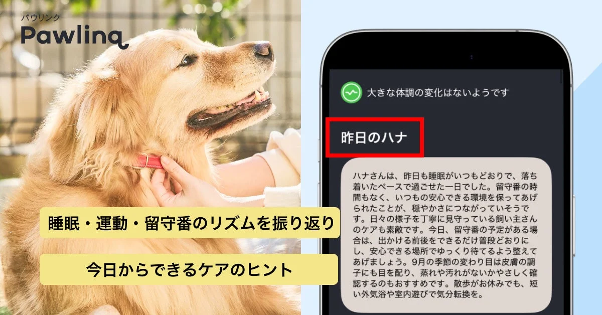 昨日のハナのレポート画面