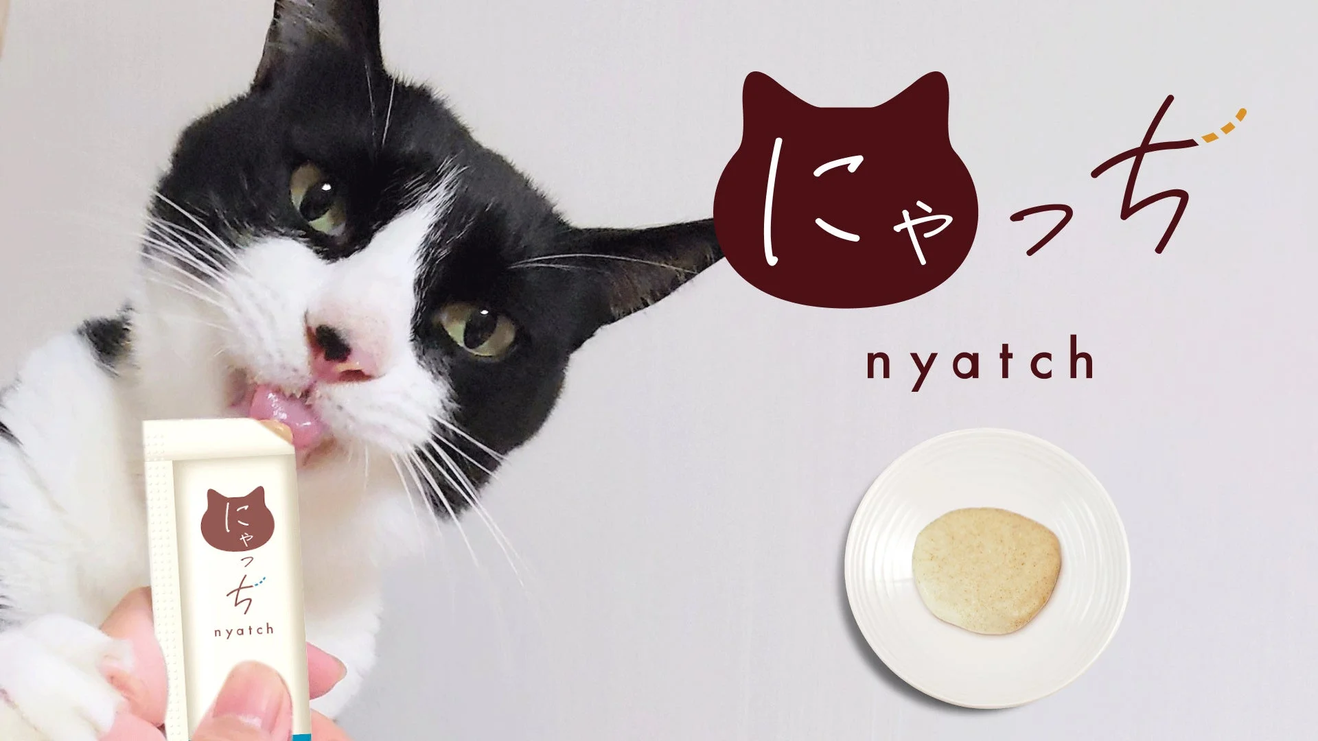 にゃっち nyatch