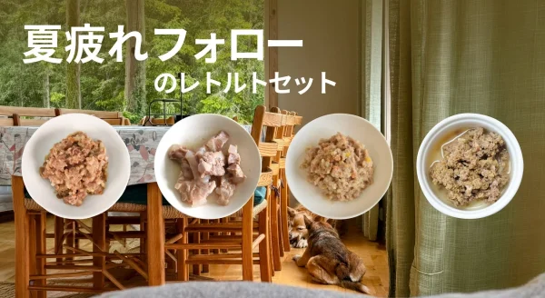 夏の疲れを吹き飛ばそう！POCHIの「夏疲れフォローのレトルトセット」で愛犬に元気チャージ！