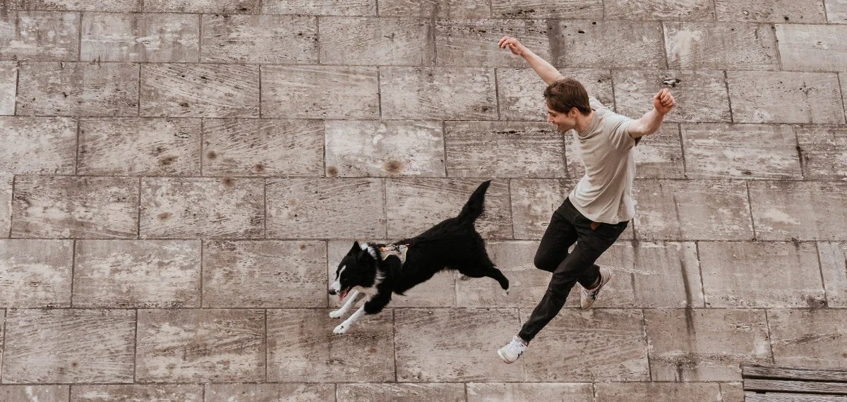 犬と人が壁をジャンプしている画像