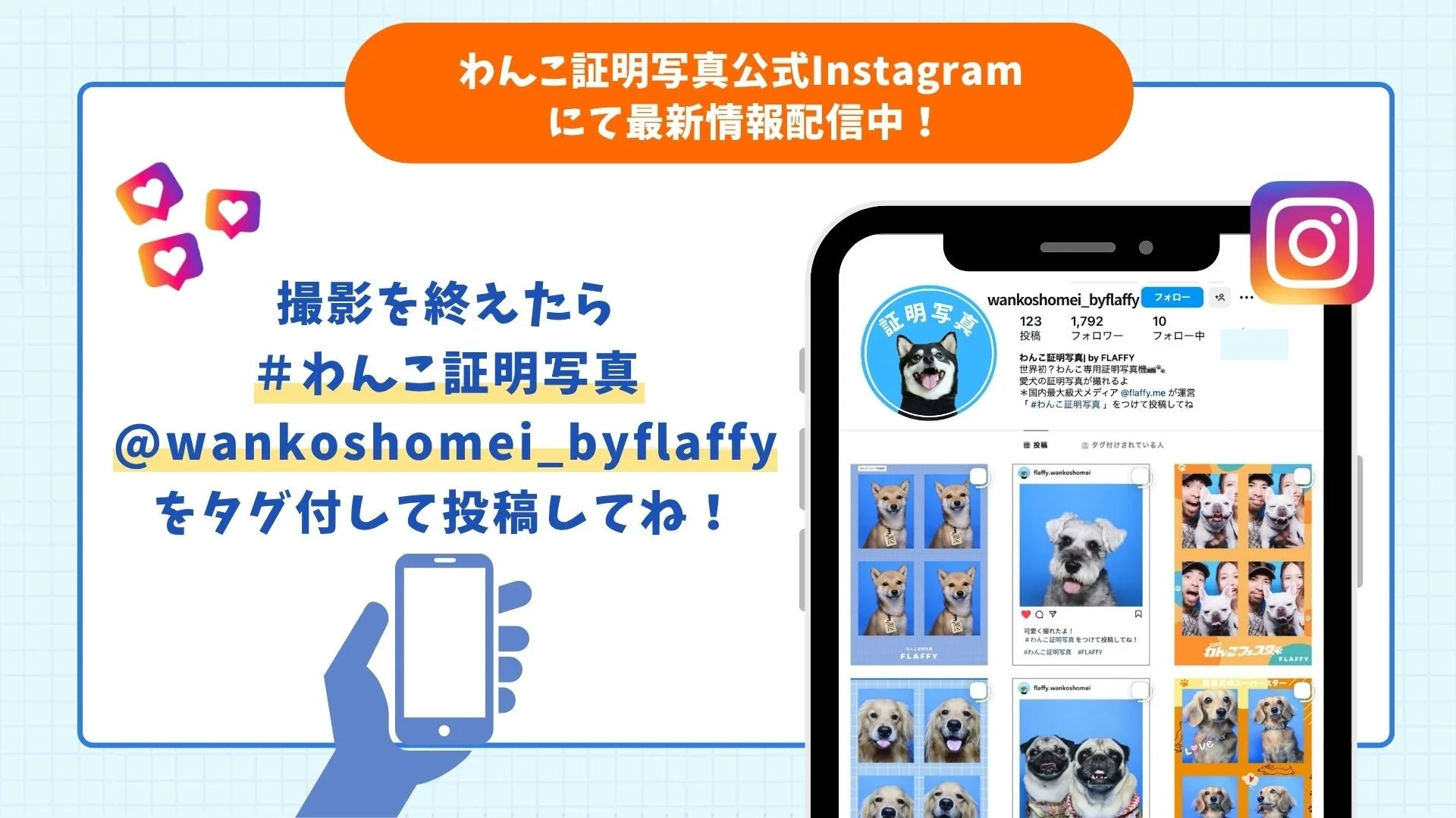 わんこ証明写真公式Instagram