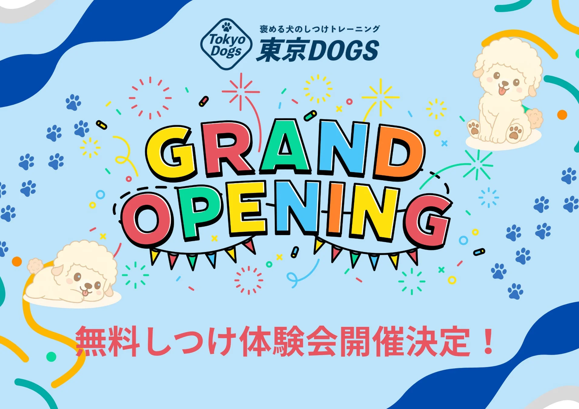 Tokyo Dogs 褒める犬のしつけトレーニング 東京DOGS GRAND OPENING 無料しつけ体験会開催決定！