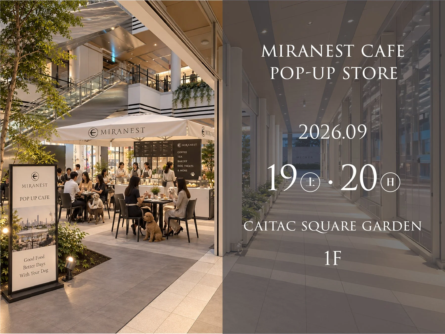MIRANEST CAFEの告知ポスター