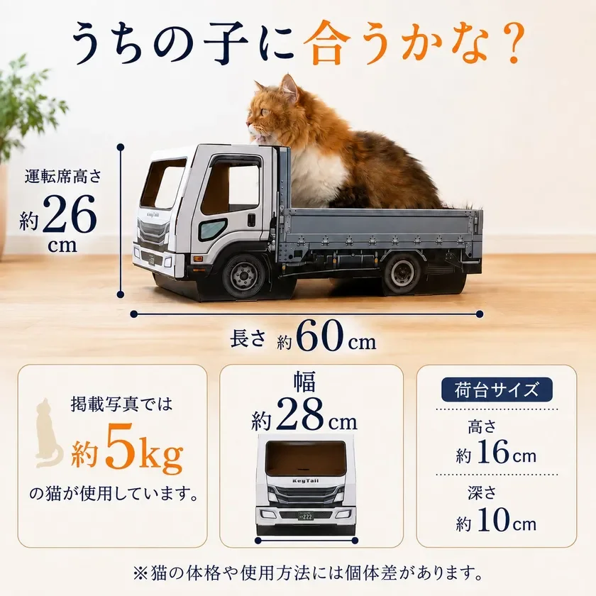 サイズ感のイメージ