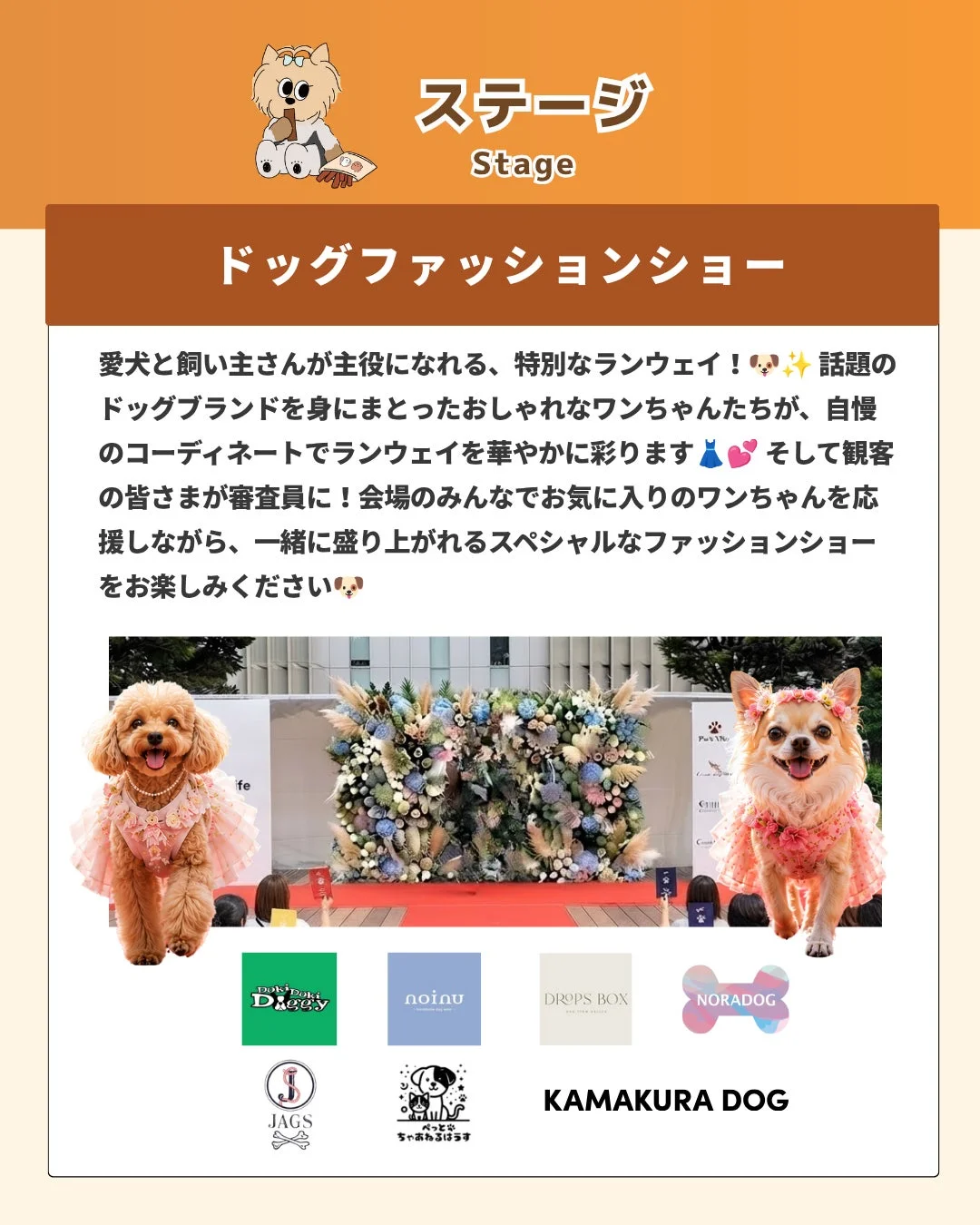 ドッグファッションショーの告知