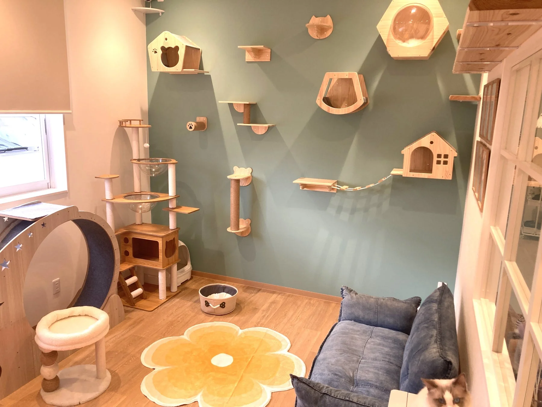 ANELLA CAFEの猫エリア
