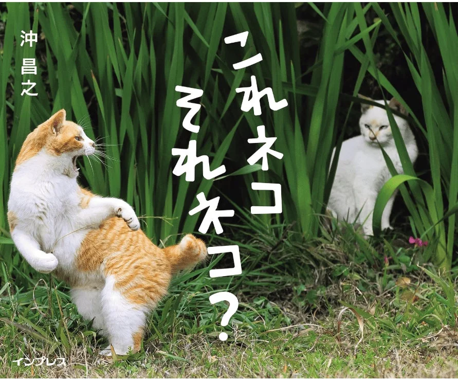 沖昌之さんの写真集「これネコ それネコ?」