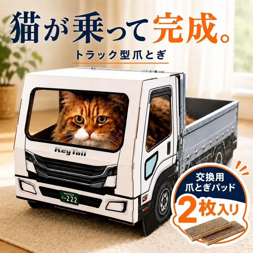 猫が乗って完成するトラック型爪とぎ
