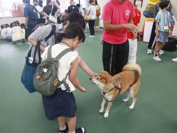 かわいすぎる保護犬との出会い！小学生が動物愛護を楽しく学んだ1日