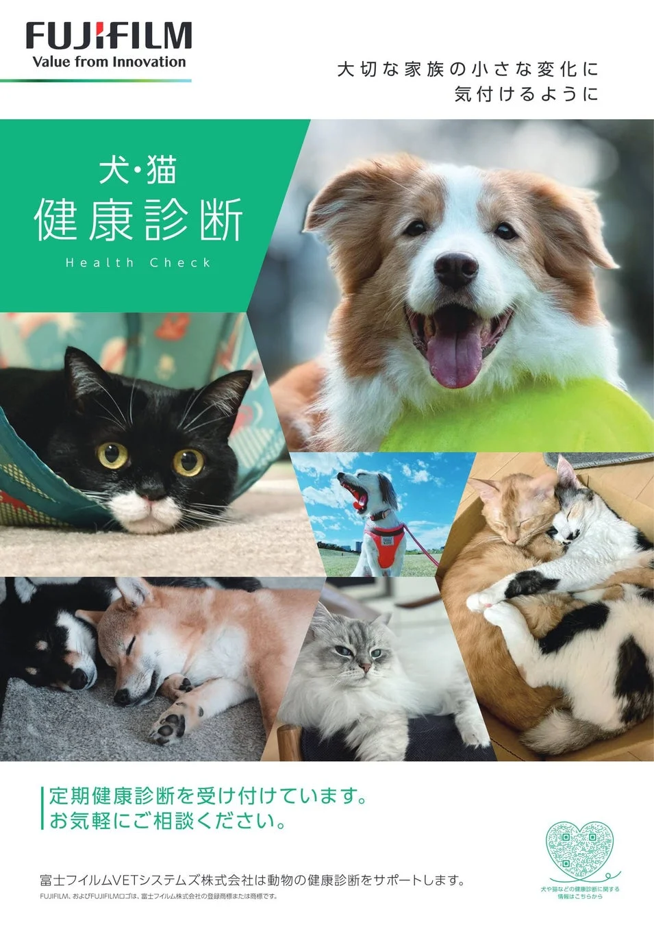 犬・猫の健康診断サービスを告知するポスター