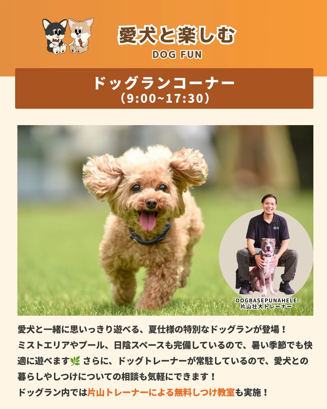夏仕様のドッグラン