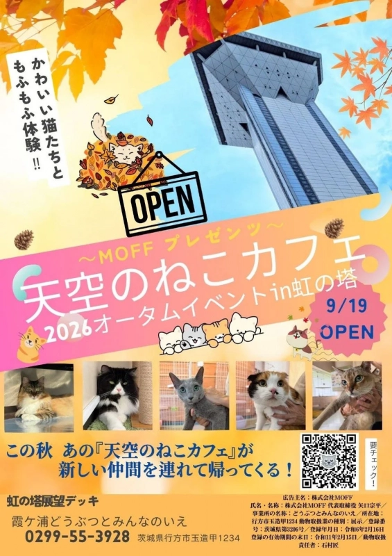 「空の上の猫カフェ」がパワーアップして再登場！『天空のねこカフェ』第2弾が9月19日（土）から期間限定オープン！