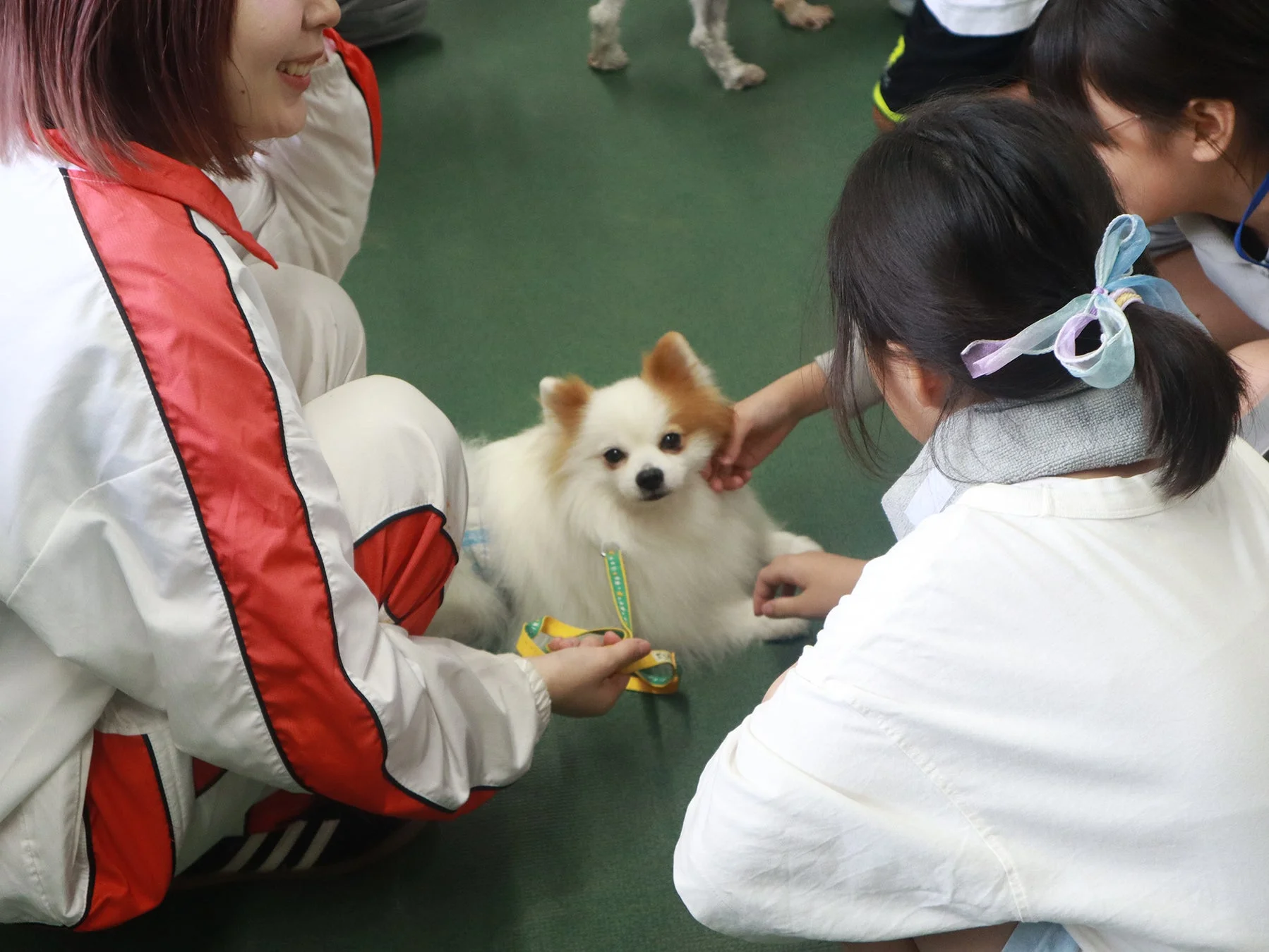 犬と触れ合う子どもたち
