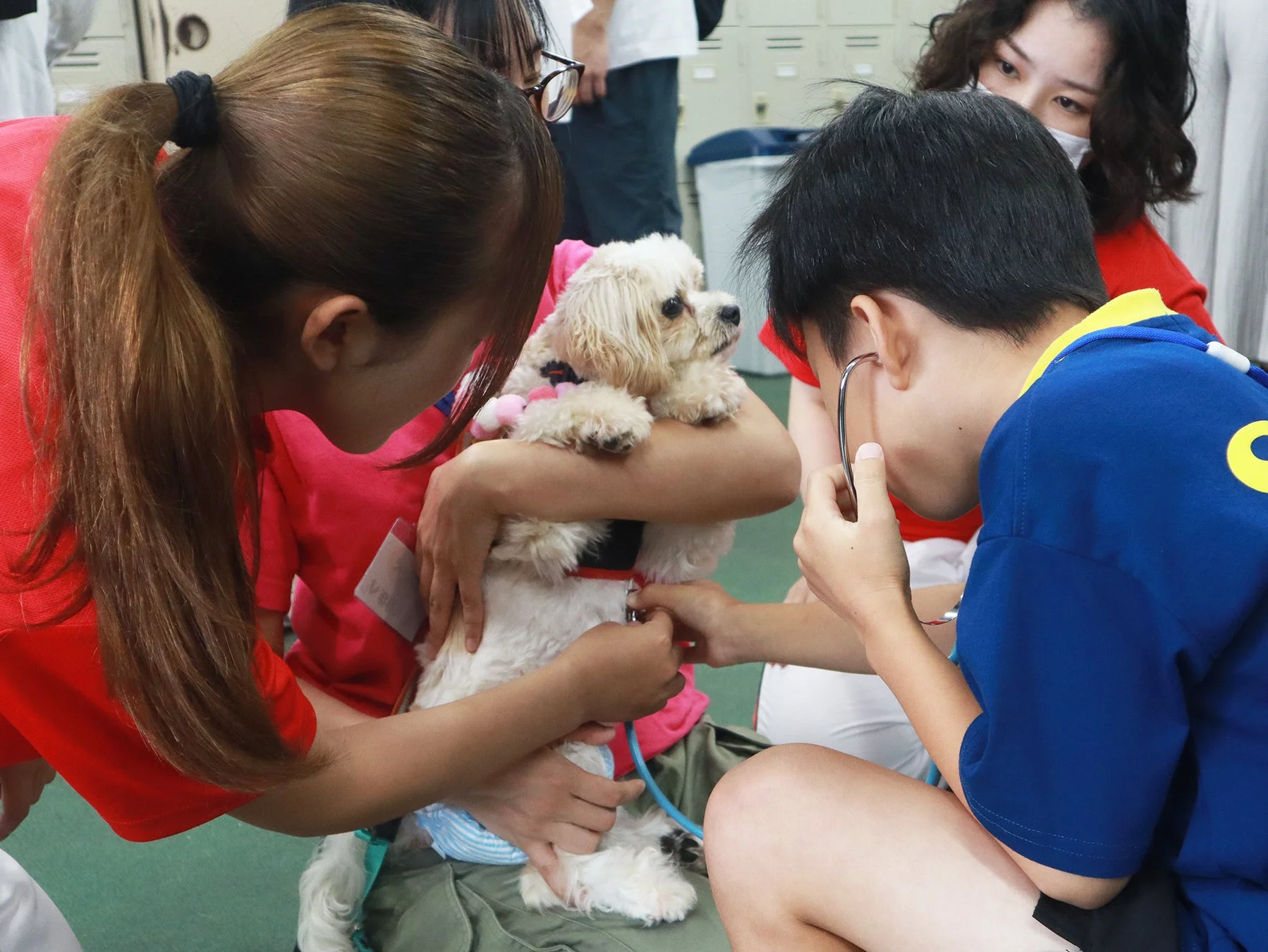 聴診器で犬の心音を聞く子どもたち