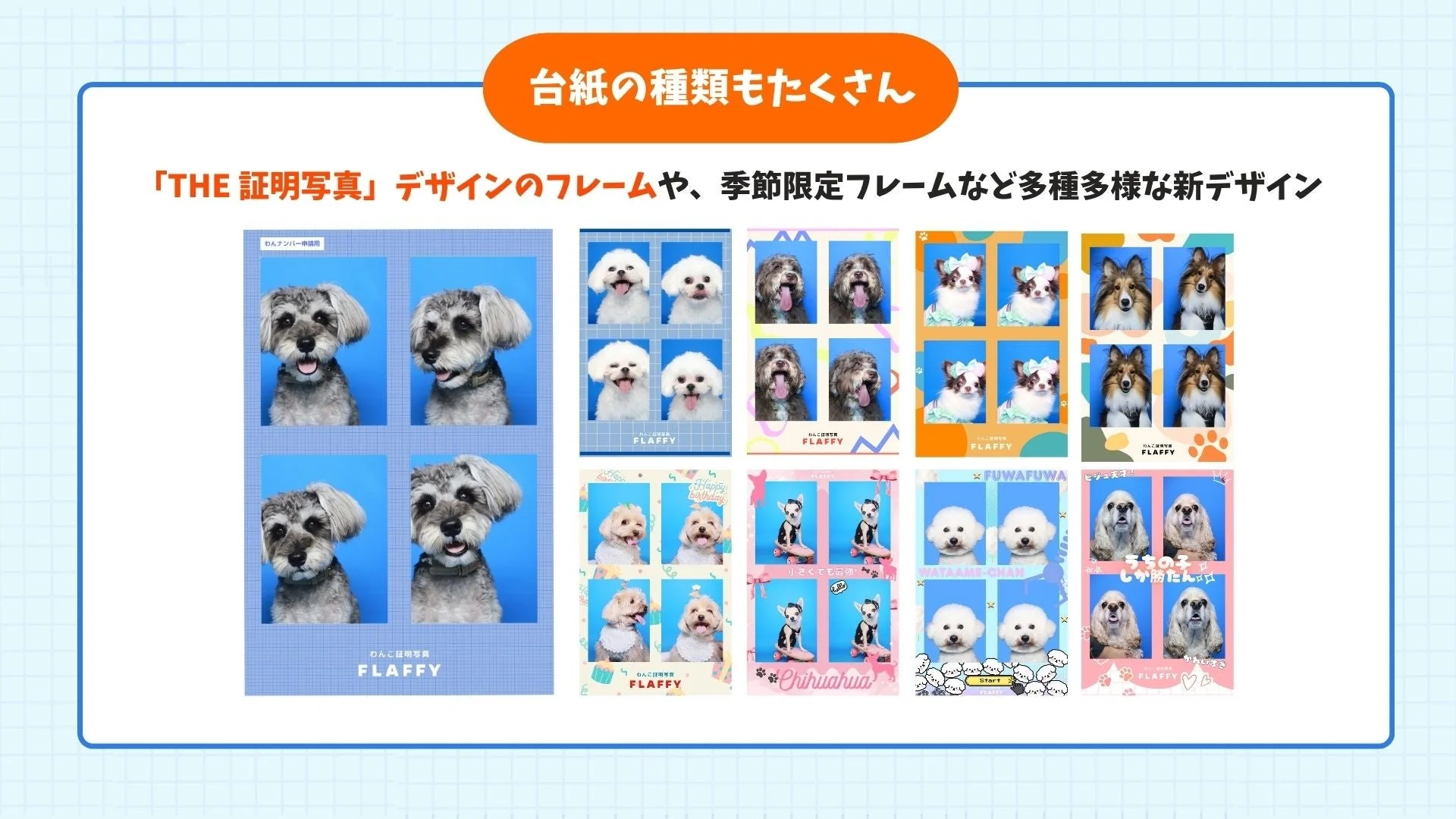 約70種類以上の豊富なフレームデザイン