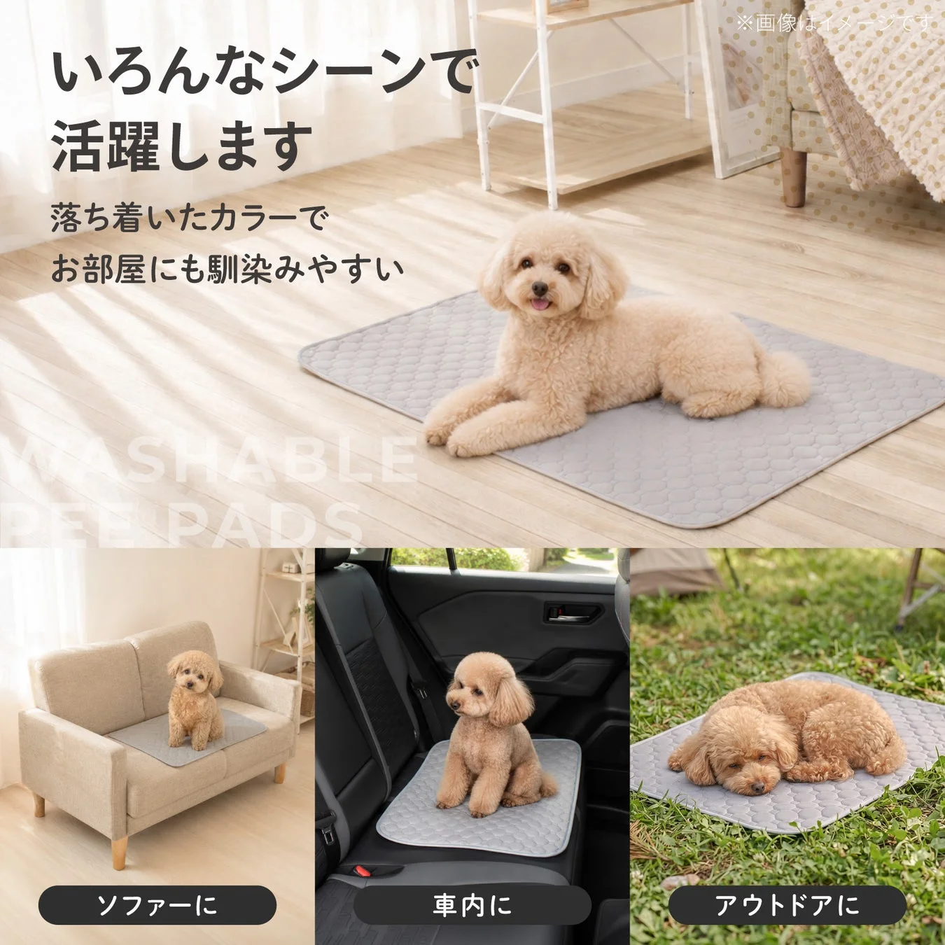 いろんなシーンで活躍するペットシーツ