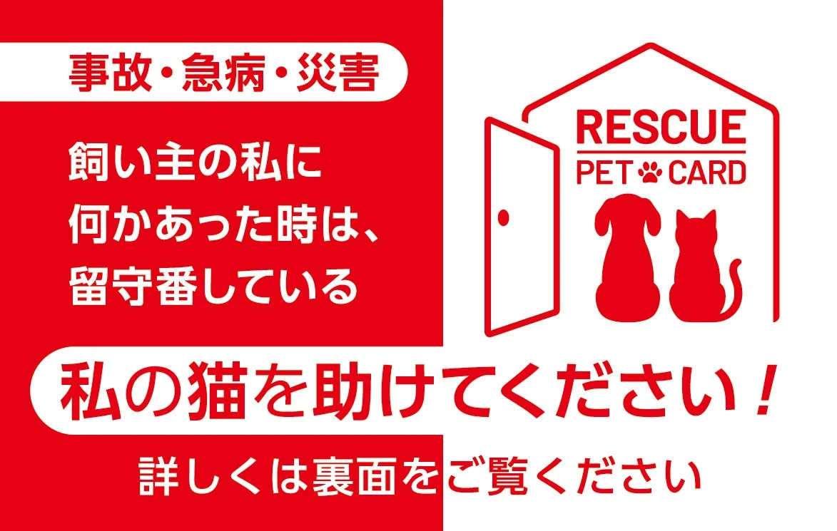 RESCUE PET CARD（猫用デザイン）