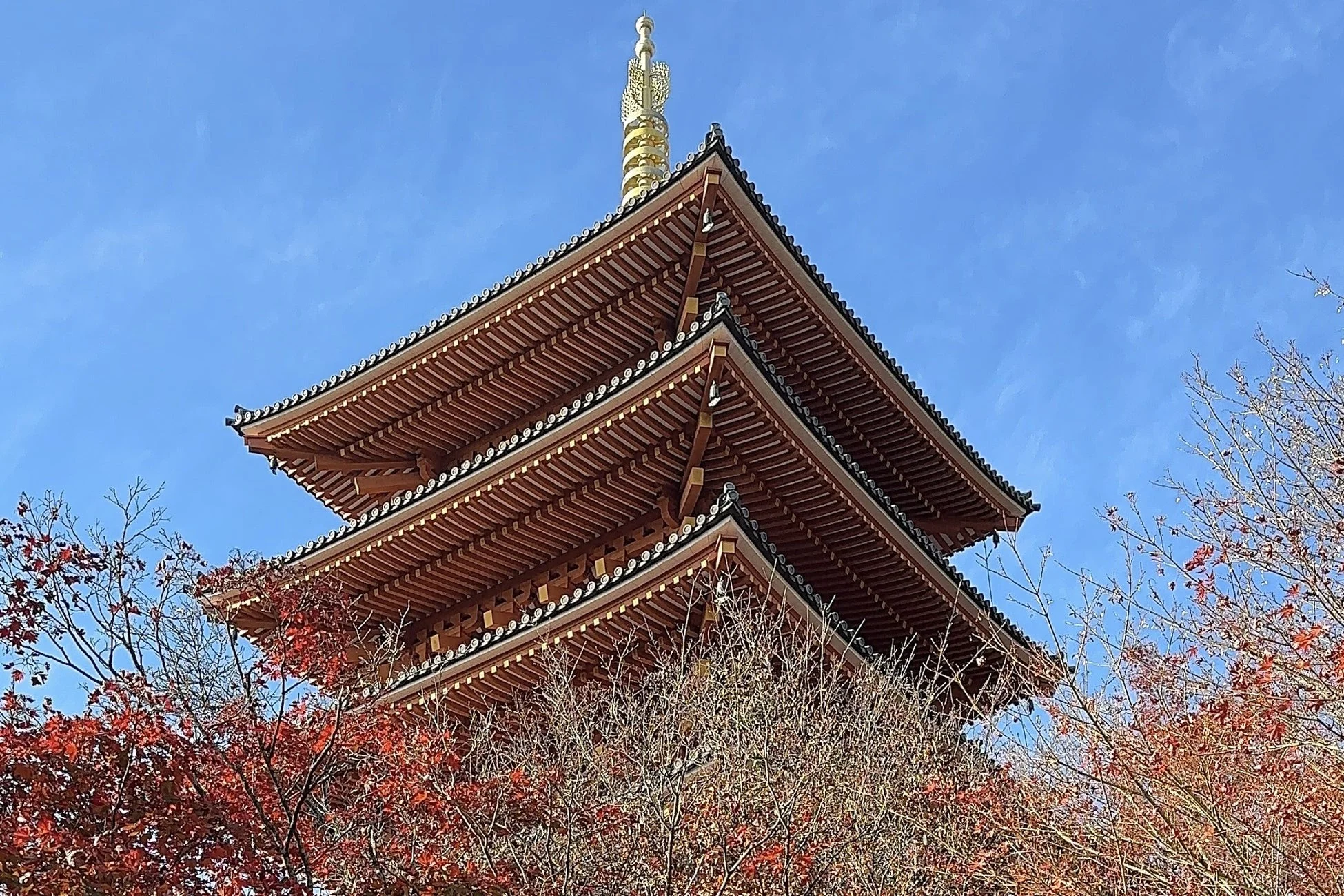 成相寺の紅葉