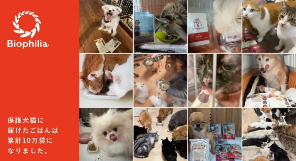 「ココグルメ」「ミャオグルメ」が保護犬猫に届けたごはん、累計10万袋を突破！みんなの愛が詰まったハッピーな輪が広がる！