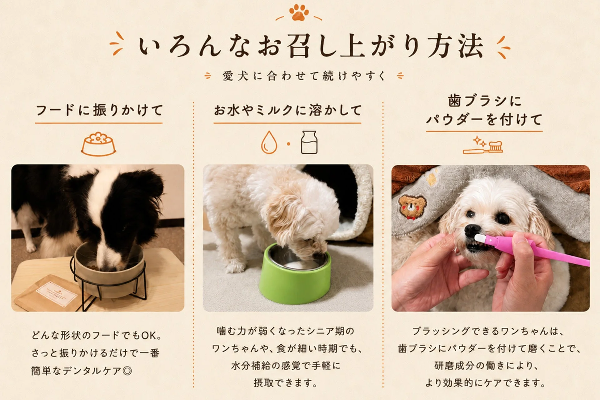 デンタルケアパウダーの様々な給与方法
