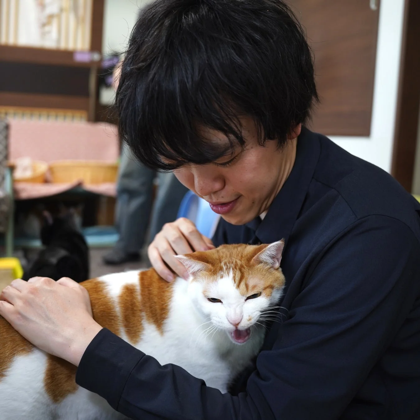 黒髪の男性が茶白の猫を優しく抱き、撫でている瞬間