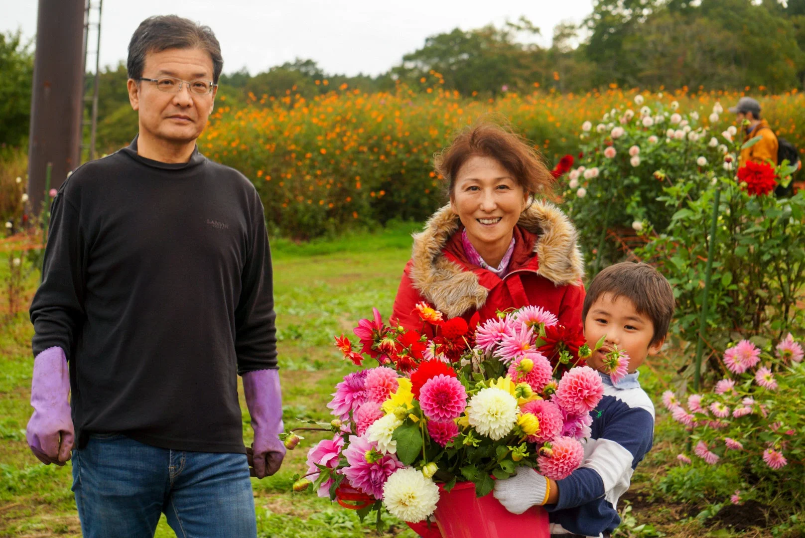 ダリアの花摘みを楽しむ家族