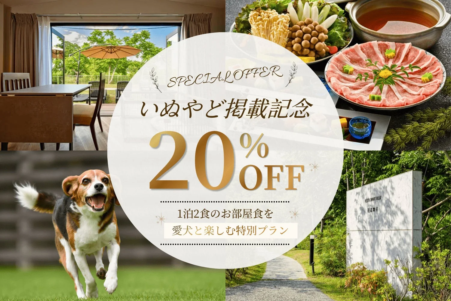 20%OFFキャンペーンの告知