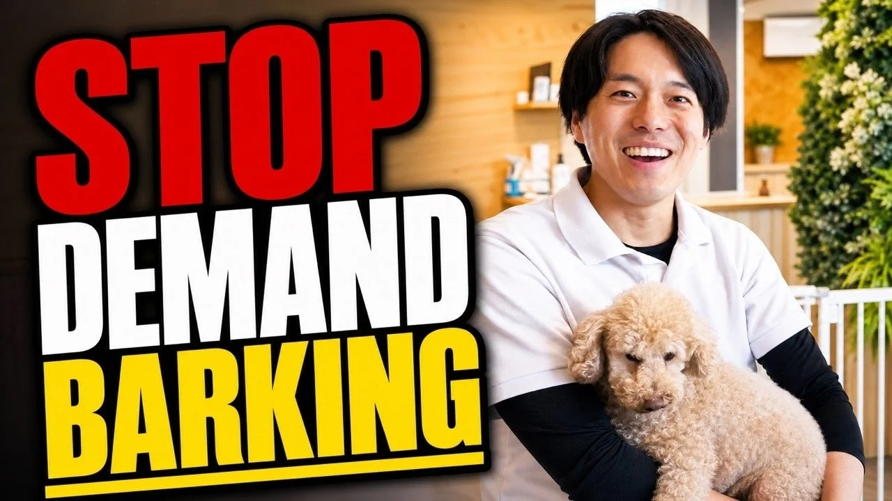 STOP DEMAND BARKING