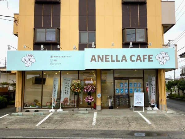 保護犬猫カフェ「ANELLA CAFE 相模原橋本店」が9月11日(金)オープン！人と動物のやさしい循環が相模原に広がる