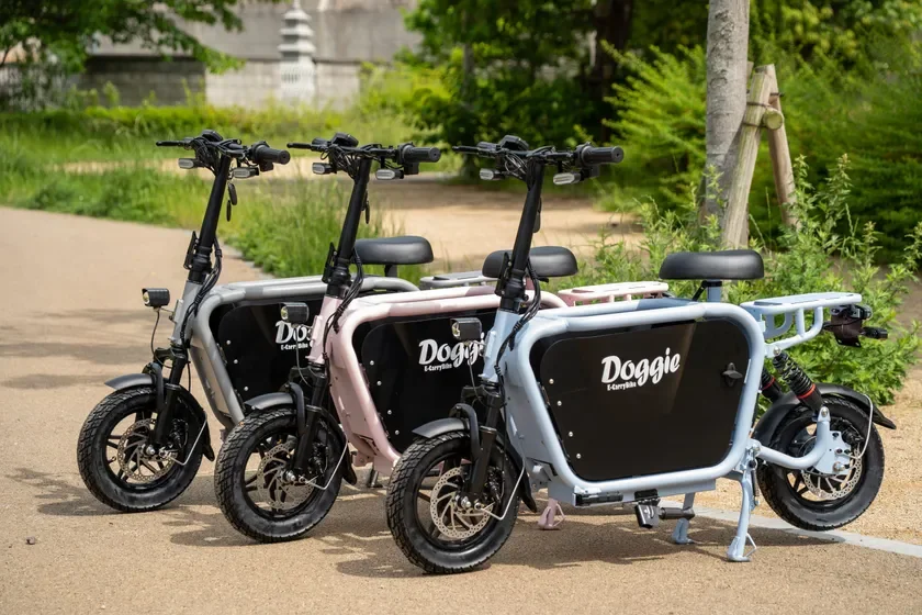 Doggie_Lite1