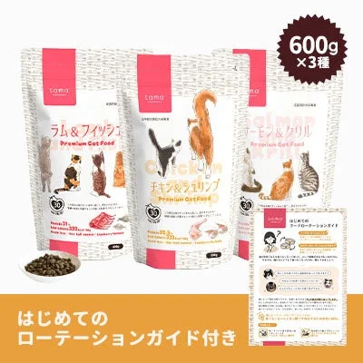 ガイドリーフレットのイメージ